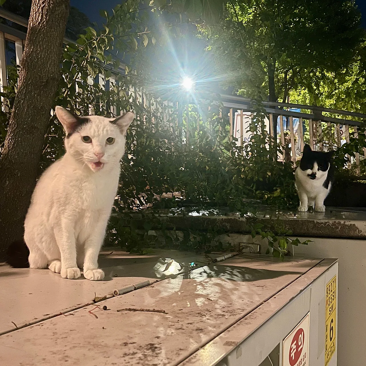 IMG%EF%BC%BF2086.jpg?type=w1600