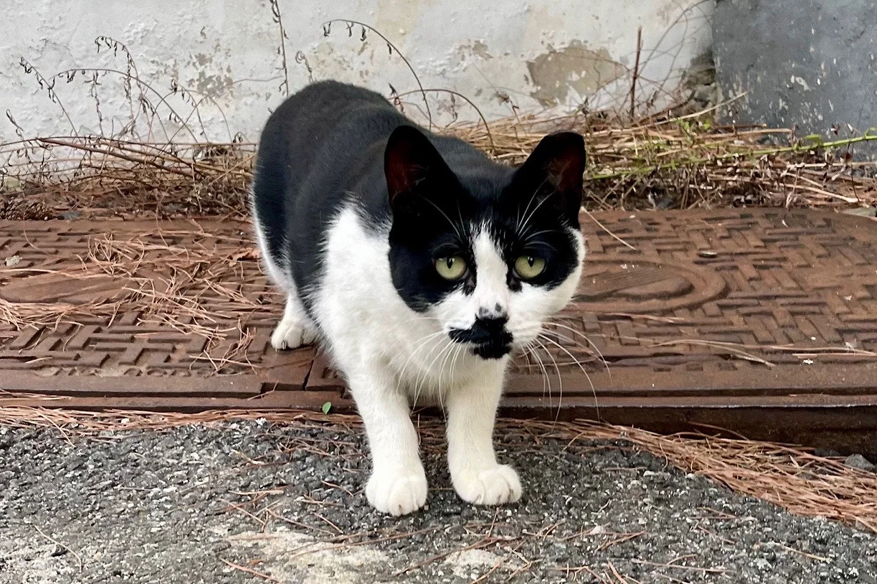 output%EF%BC%BF3689314140.jpg?type=w1600