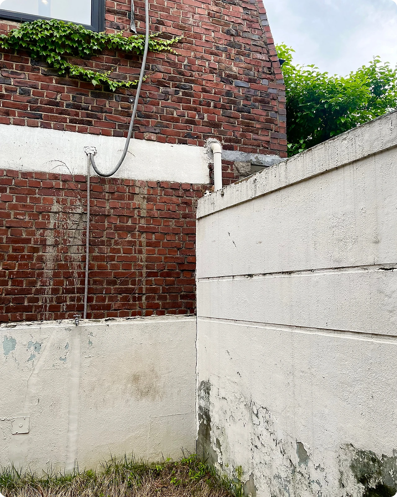 IMG_4656.jpg?type=w1600