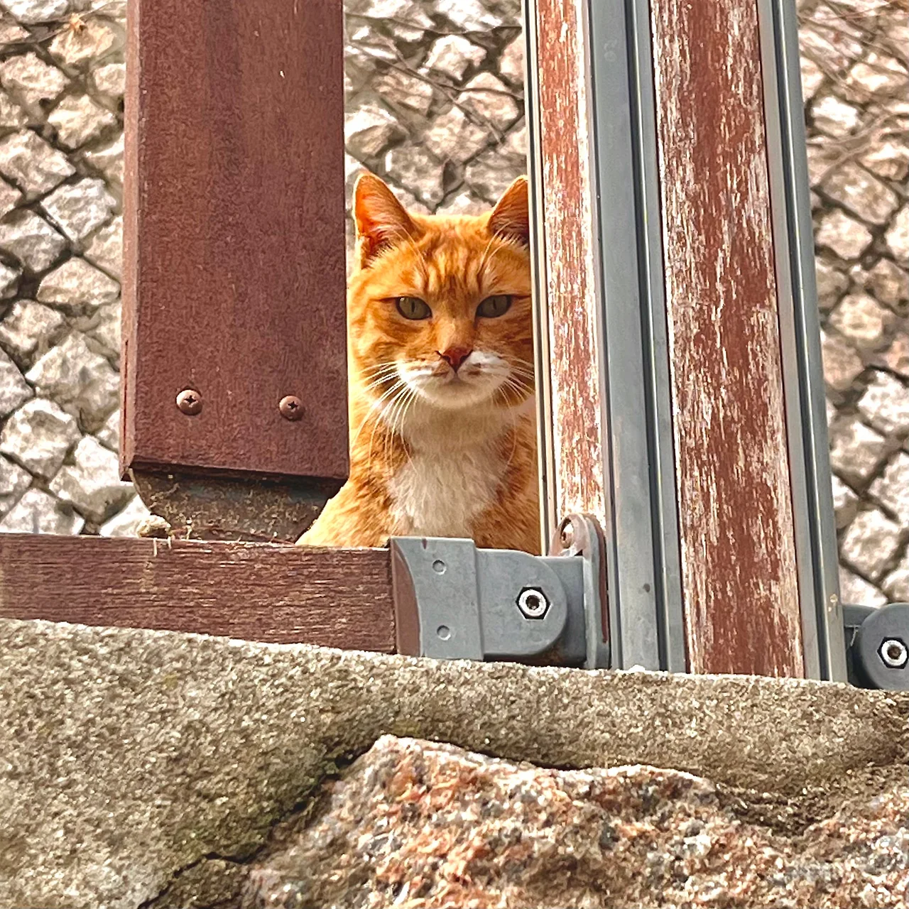 IMG%EF%BC%BF9902.jpg?type=w1600