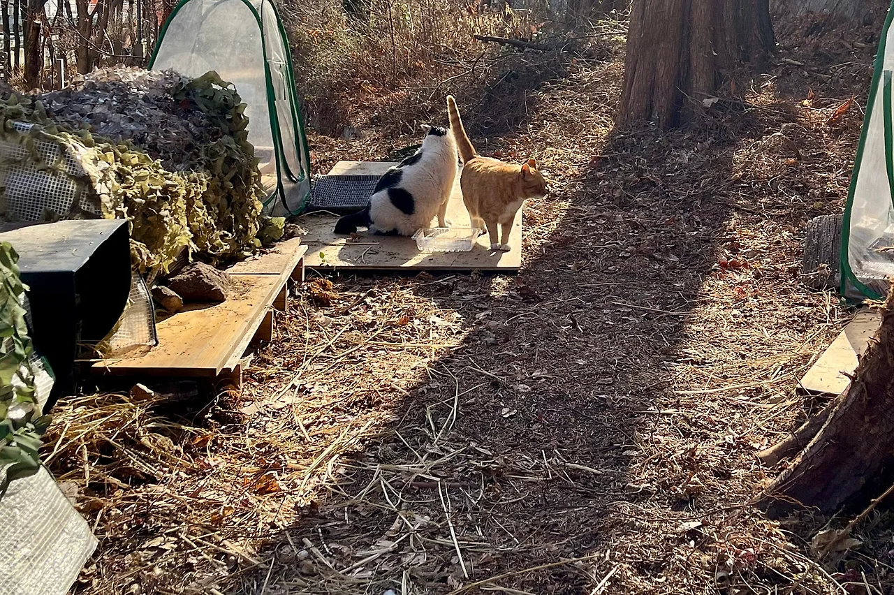 SE-AE9CECB1-0A95-444B-BF8A-37227821EC70.jpg?type=w1600