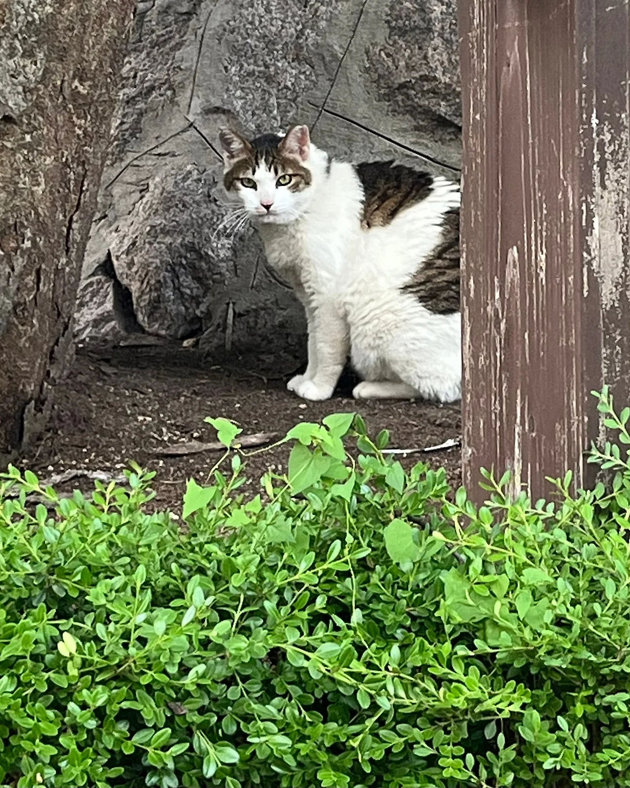 IMG%EF%BC%BF7121.jpg?type=w1600