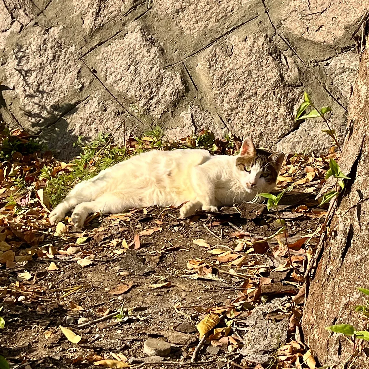 IMG%EF%BC%BF4698.jpg?type=w1600