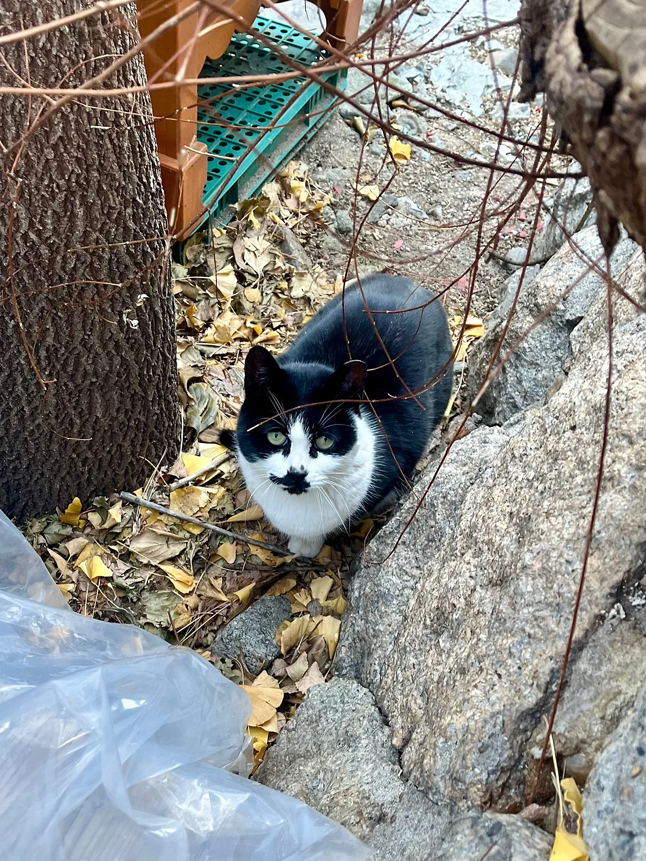 IMG%EF%BC%BF9955.jpg?type=w1600