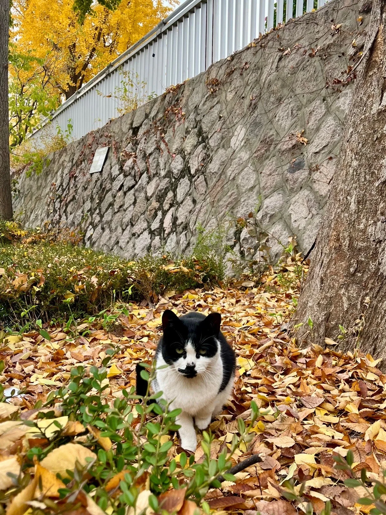 output%EF%BC%BF4183665968.jpg?type=w1600