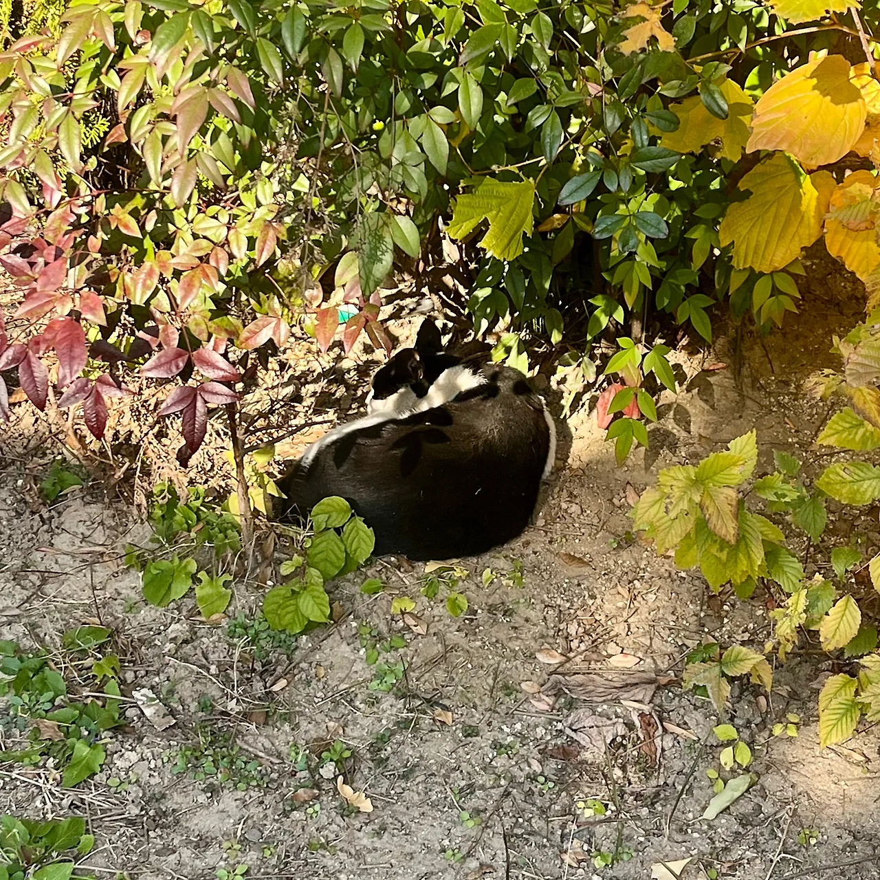 IMG%EF%BC%BF5282.jpg?type=w1600