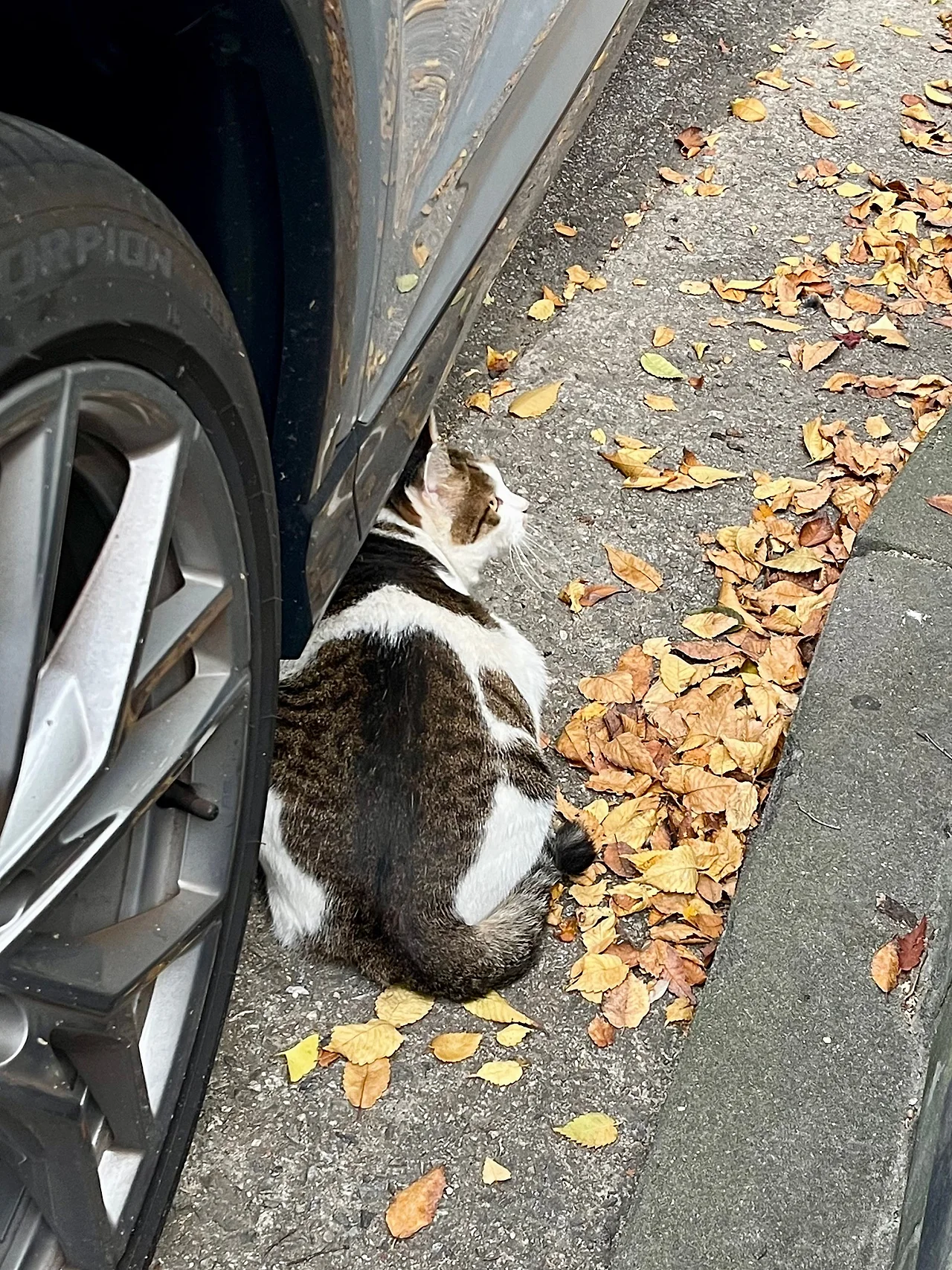 IMG%EF%BC%BF4389.jpg?type=w1600