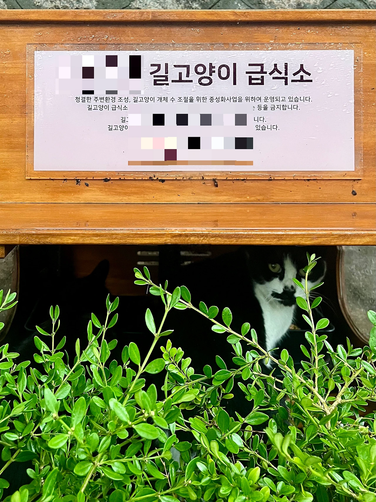 IMG%EF%BC%BF2042.jpg?type=w1600