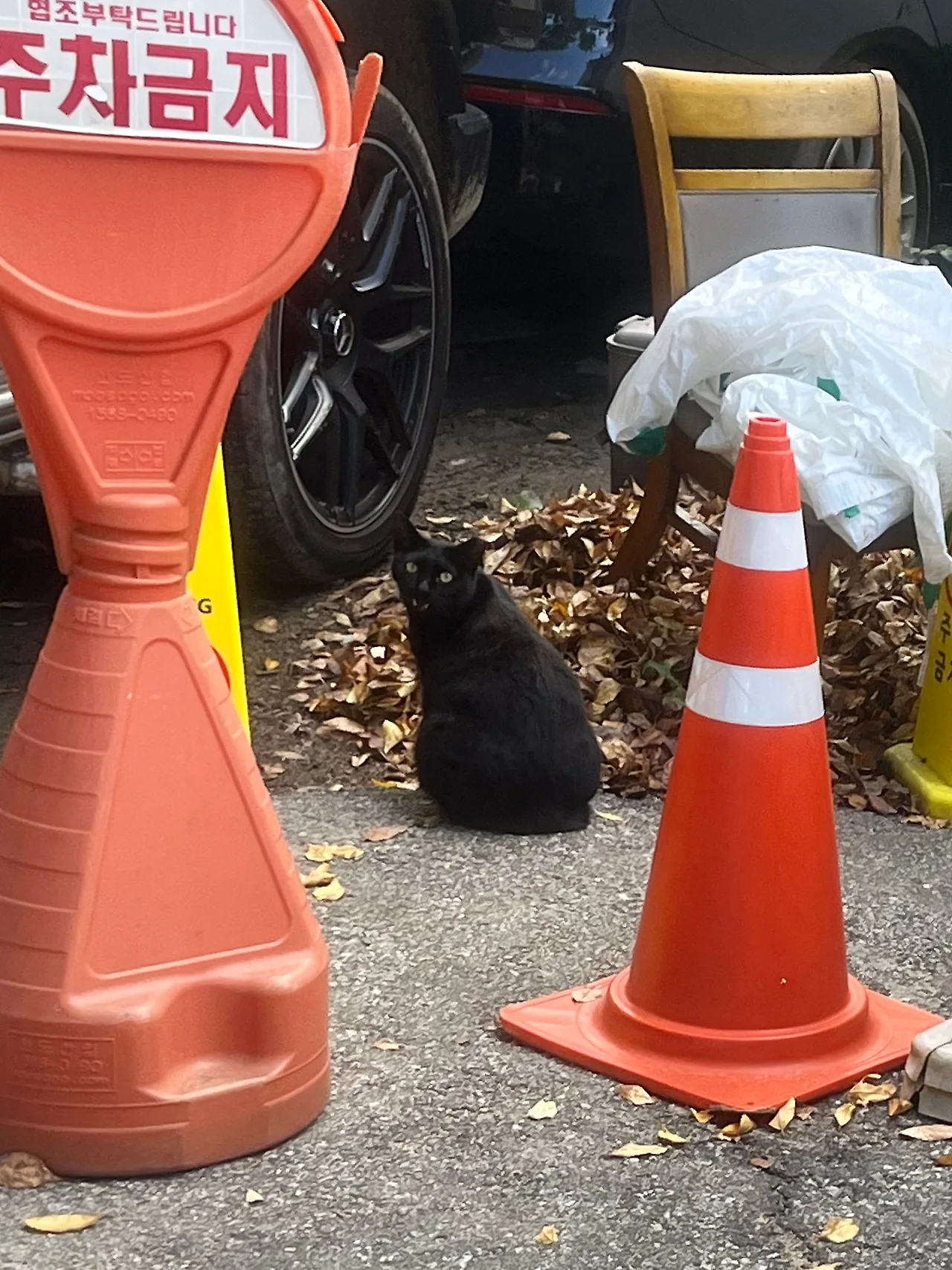 IMG%EF%BC%BF3328.jpg?type=w1600