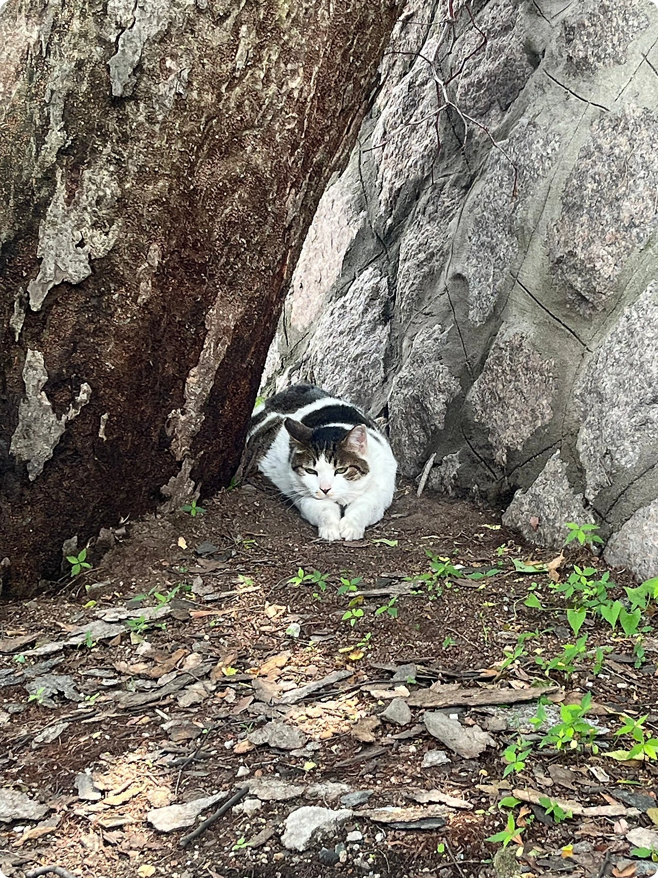 IMG_4499.jpg?type=w1600