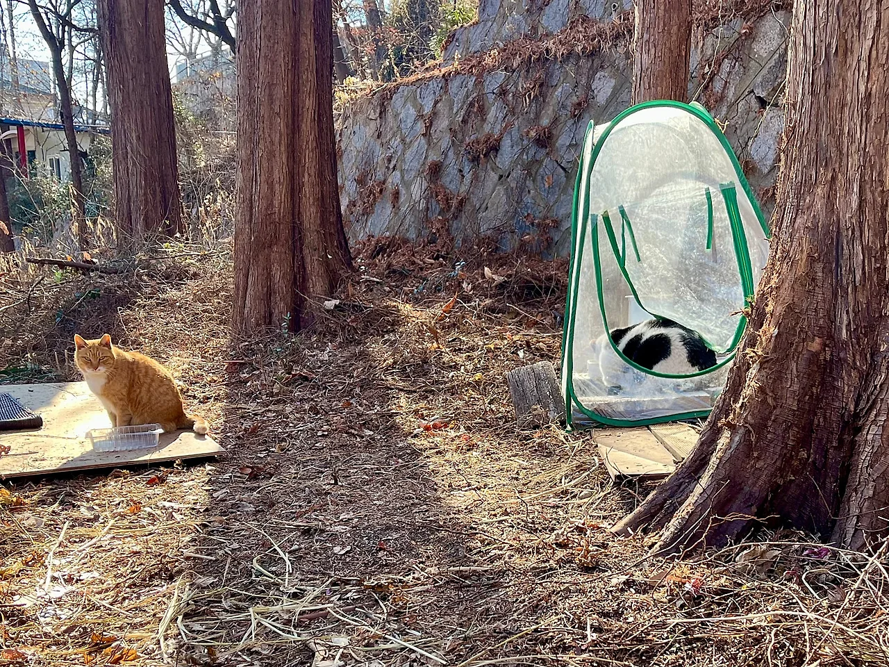 IMG%EF%BC%BF0996.jpg?type=w1600