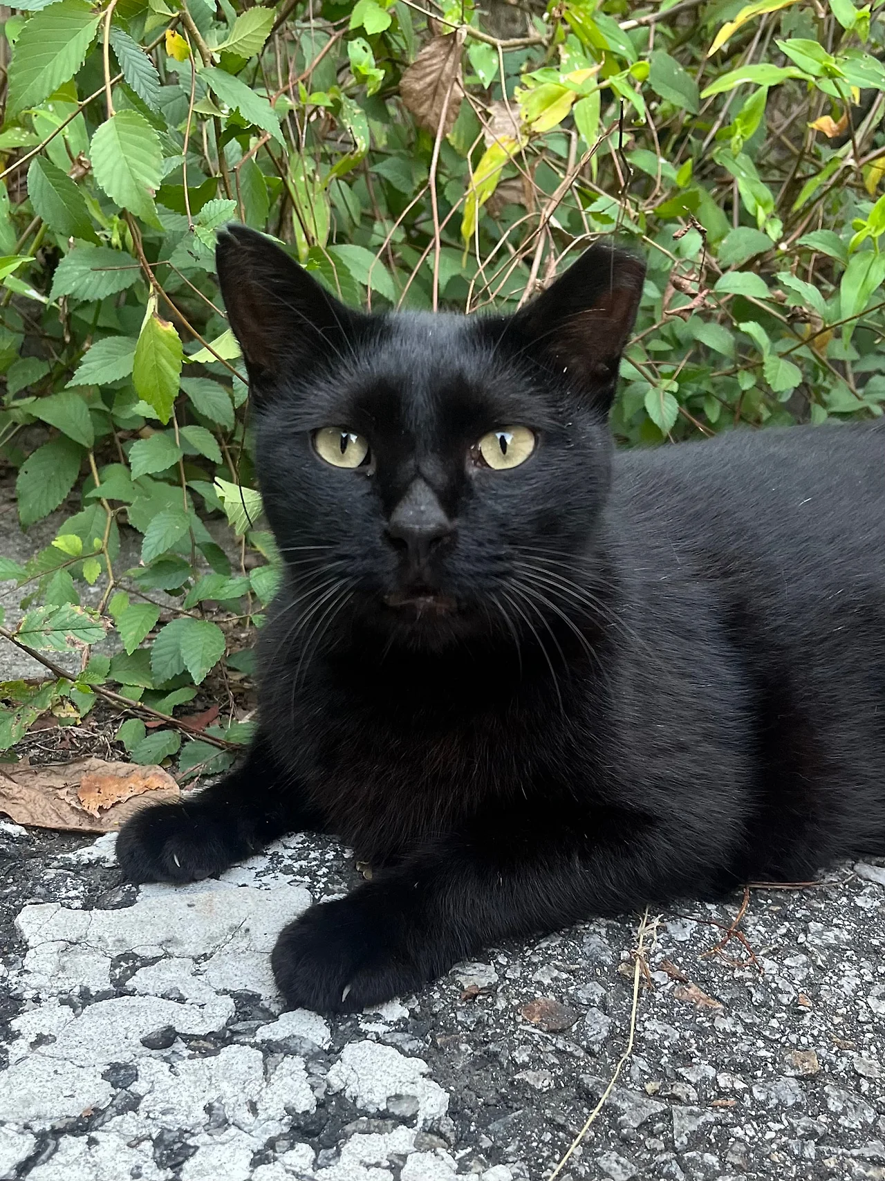 IMG%EF%BC%BF0895.jpg?type=w1600