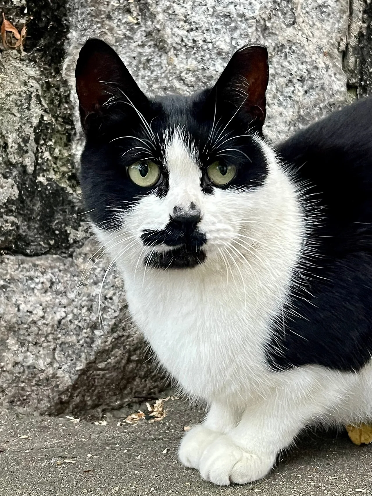 IMG%EF%BC%BF4351.jpg?type=w1600