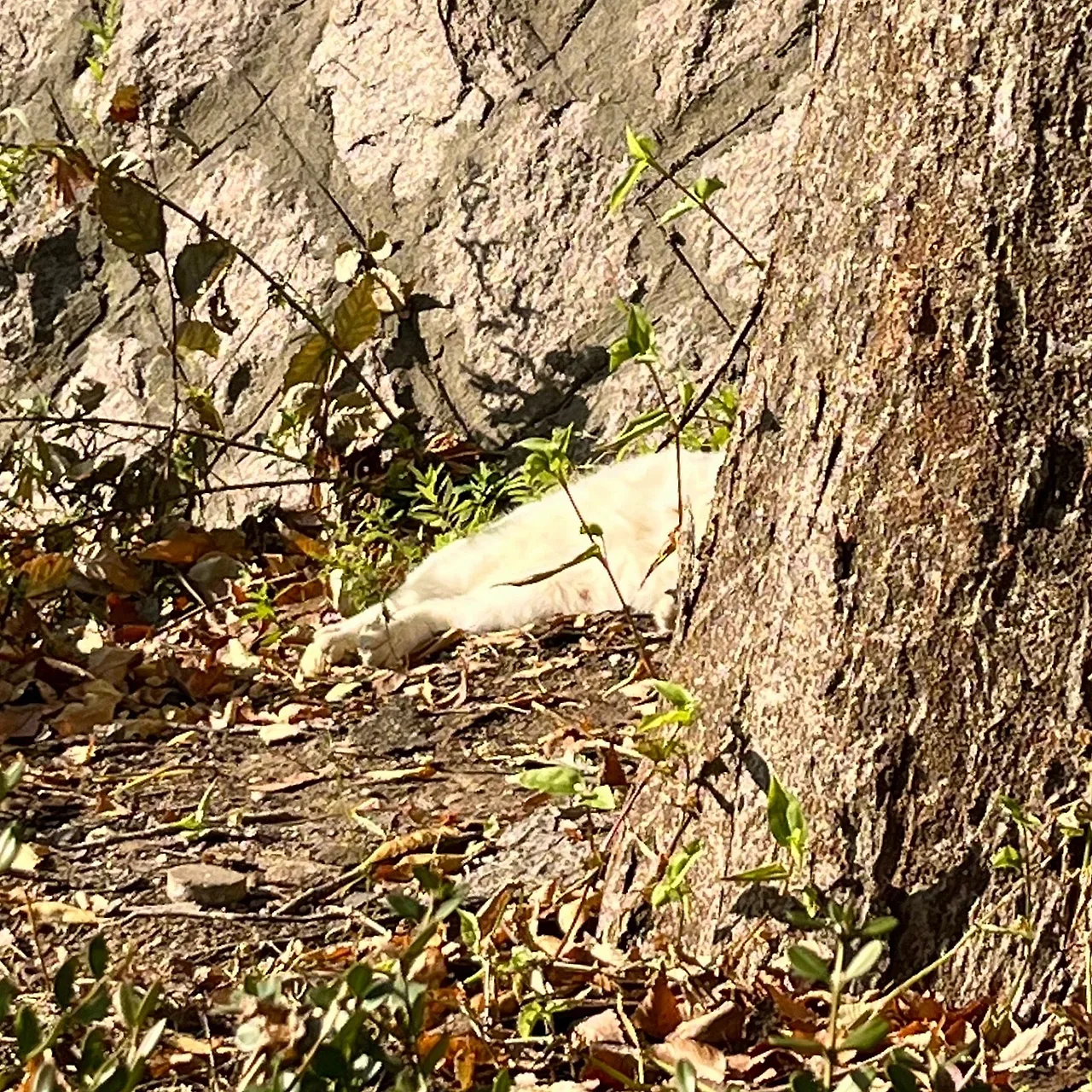 output%EF%BC%BF2594124946.jpg?type=w1600