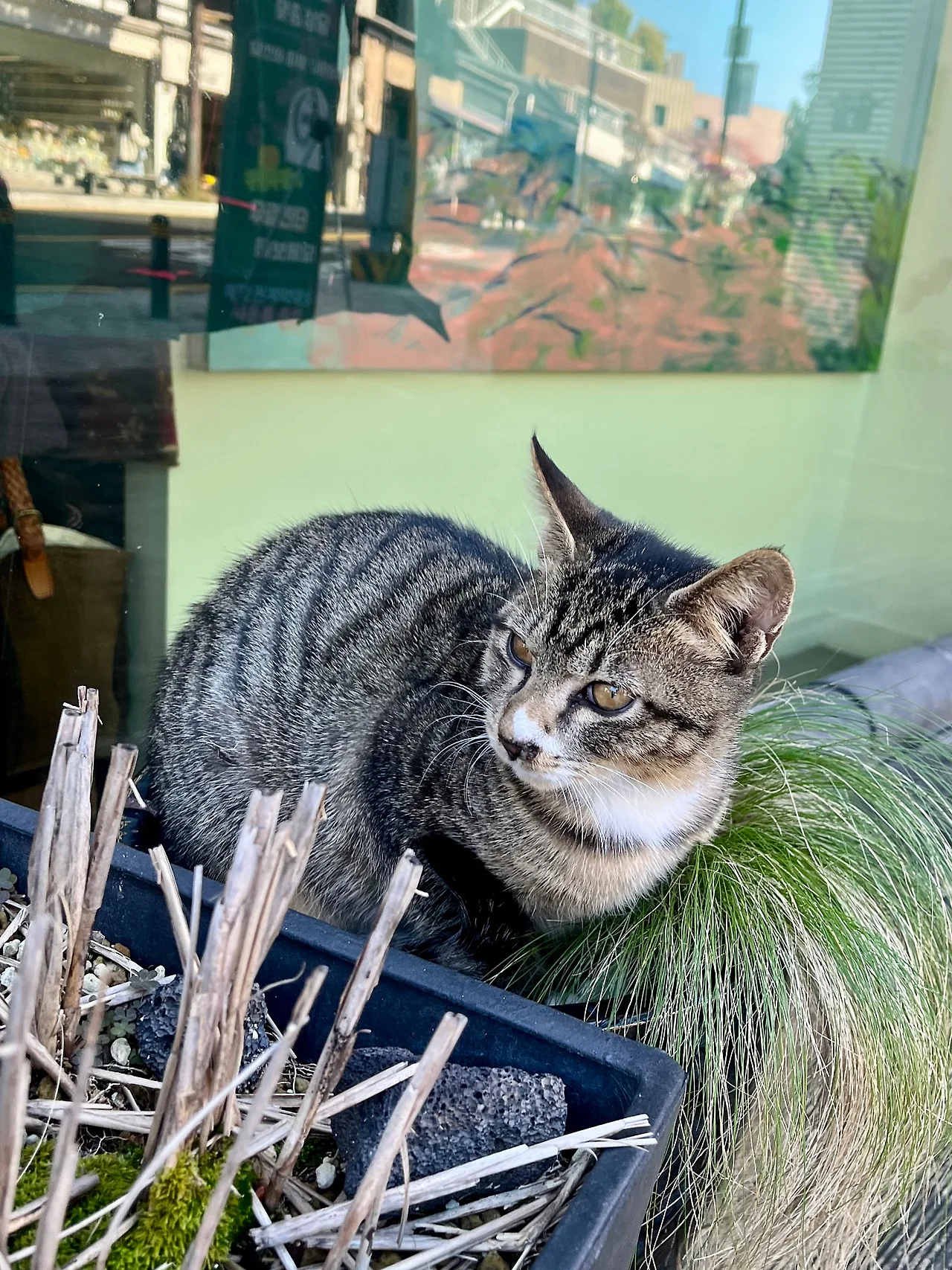 IMG%EF%BC%BF4472.jpg?type=w1600