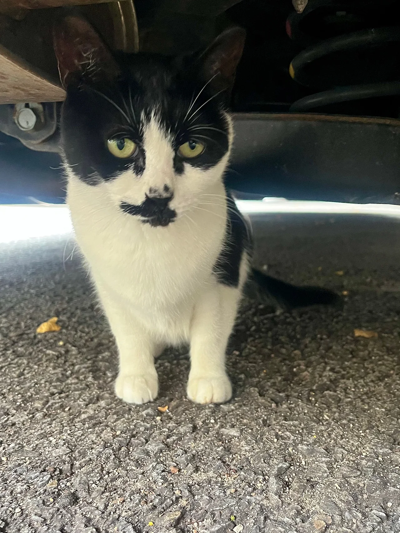 IMG%EF%BC%BF1974.jpg?type=w1600