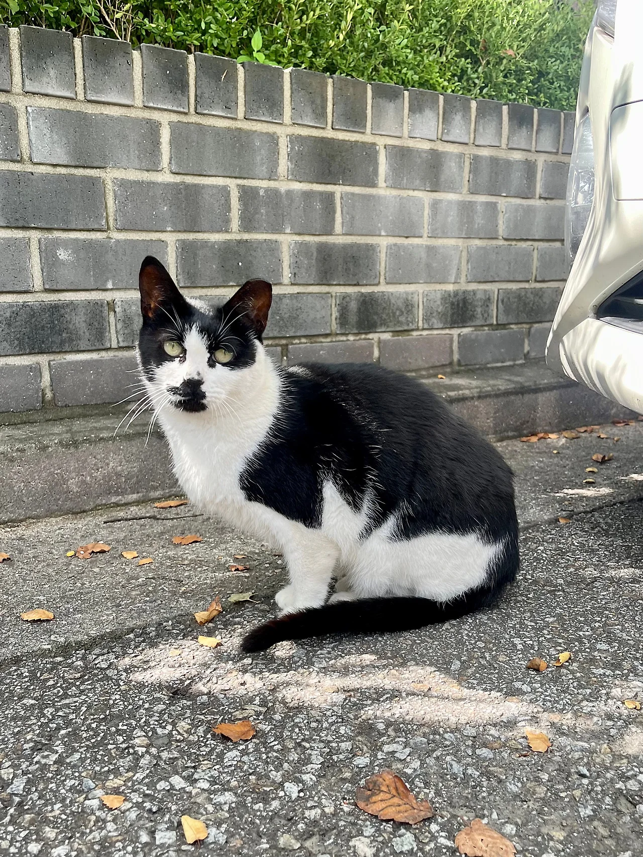 IMG%EF%BC%BF2321.jpg?type=w1600