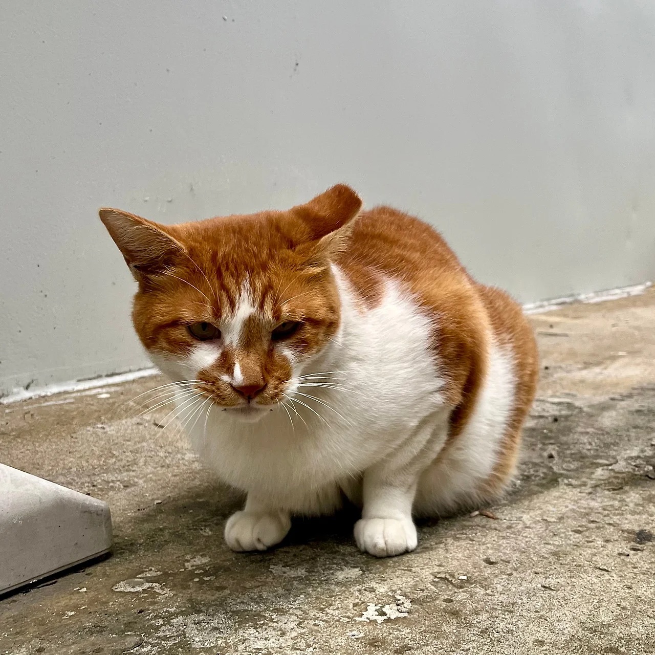 IMG%EF%BC%BF1828.jpg?type=w1600