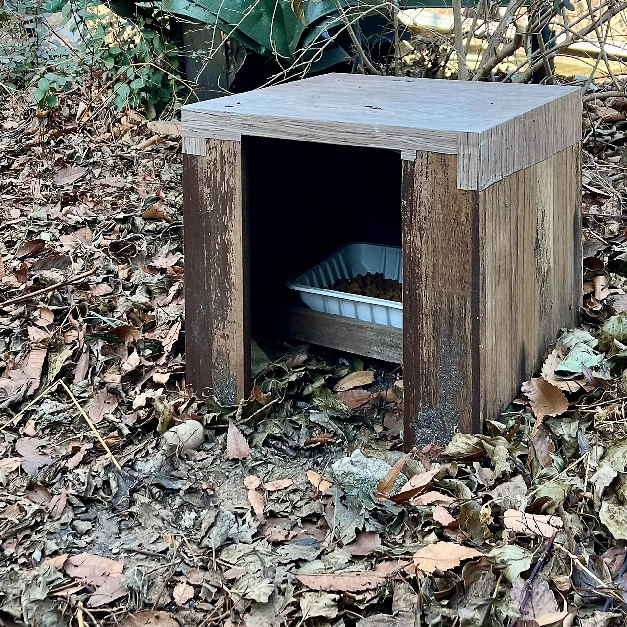 SE-E05F27A1-E492-4A5E-ADD6-22106525C834.jpg?type=w1600