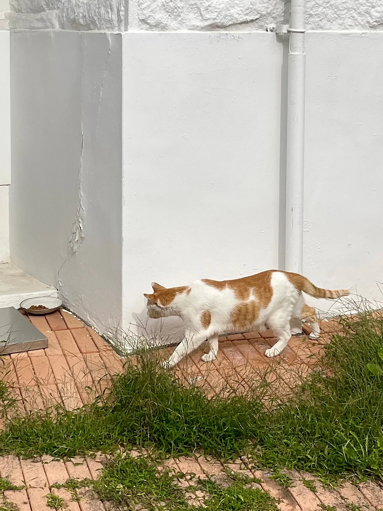 IMG%EF%BC%BF3611.jpg?type=w1600