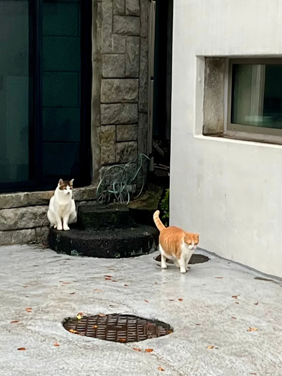 IMG%EF%BC%BF3097.jpg?type=w1600