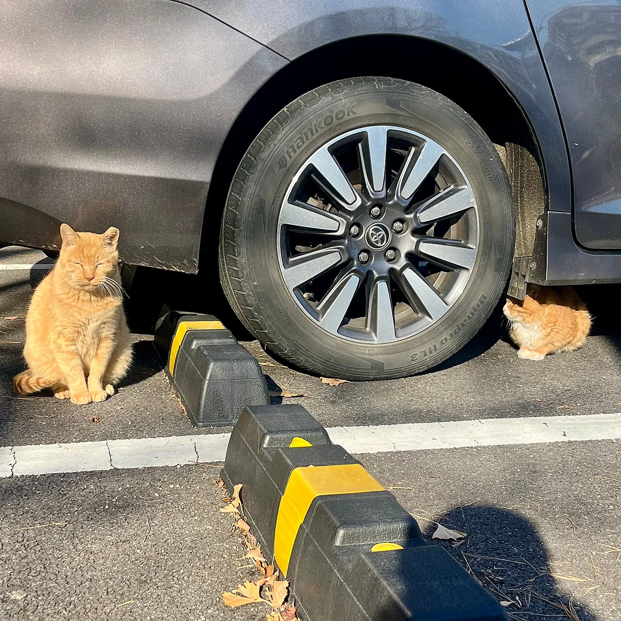 IMG%EF%BC%BF8903.jpg?type=w1600