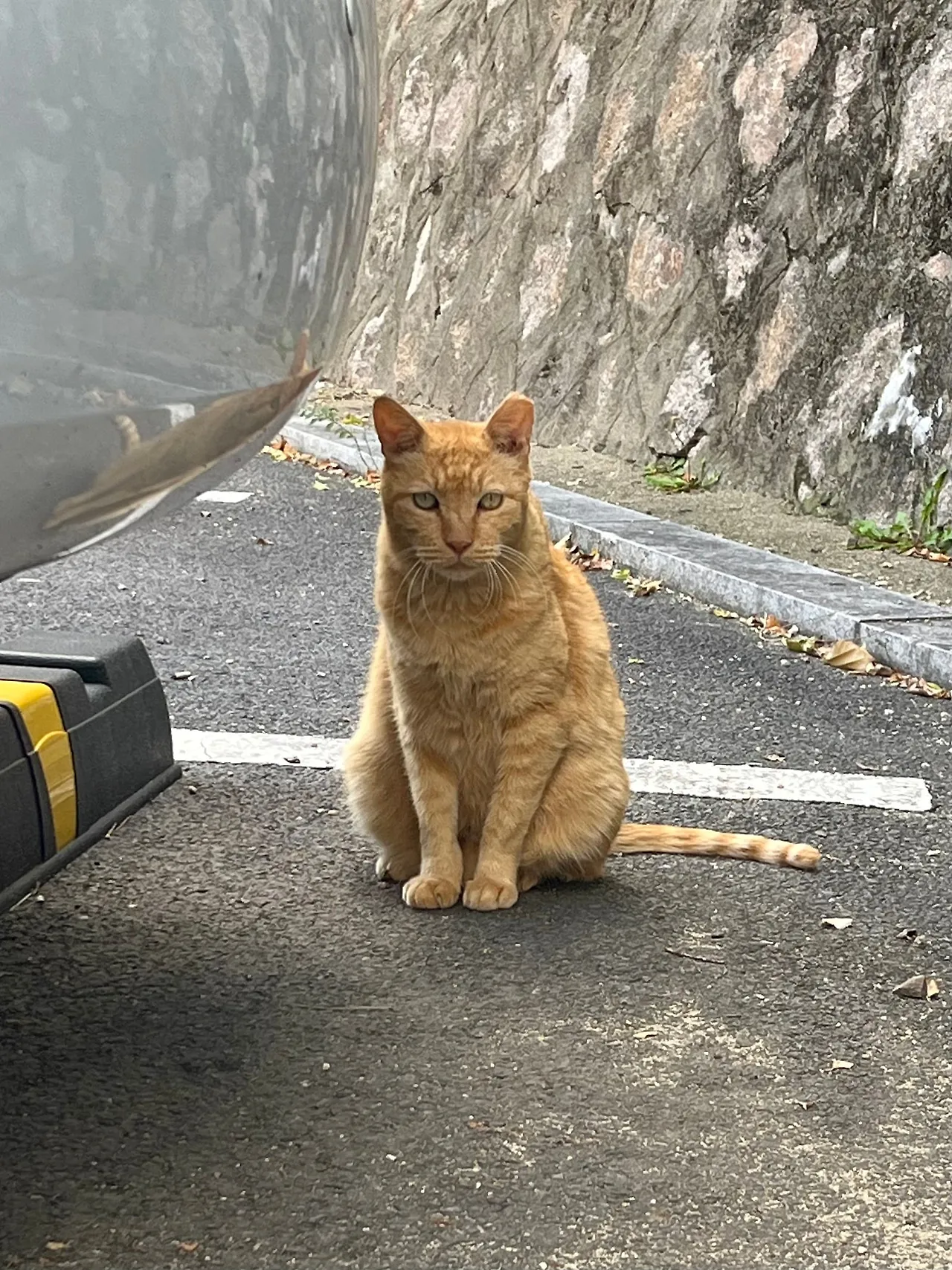 IMG%EF%BC%BF3762.jpg?type=w1600