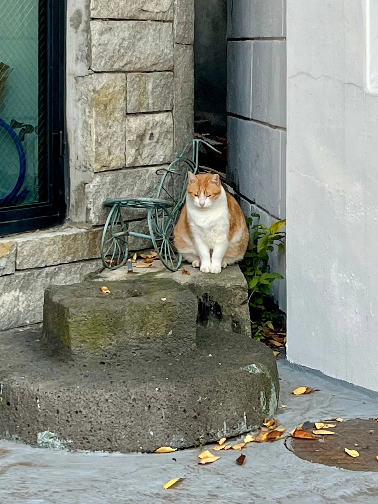 IMG%EF%BC%BF4566.jpg?type=w1600