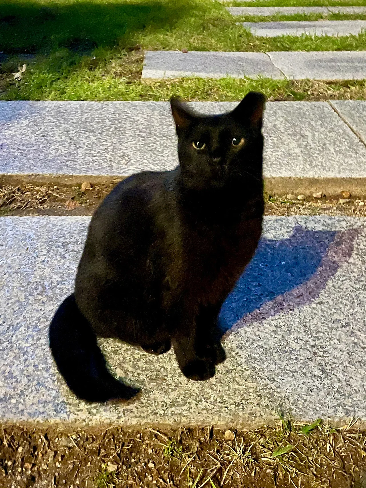 IMG%EF%BC%BF2106.jpg?type=w1600