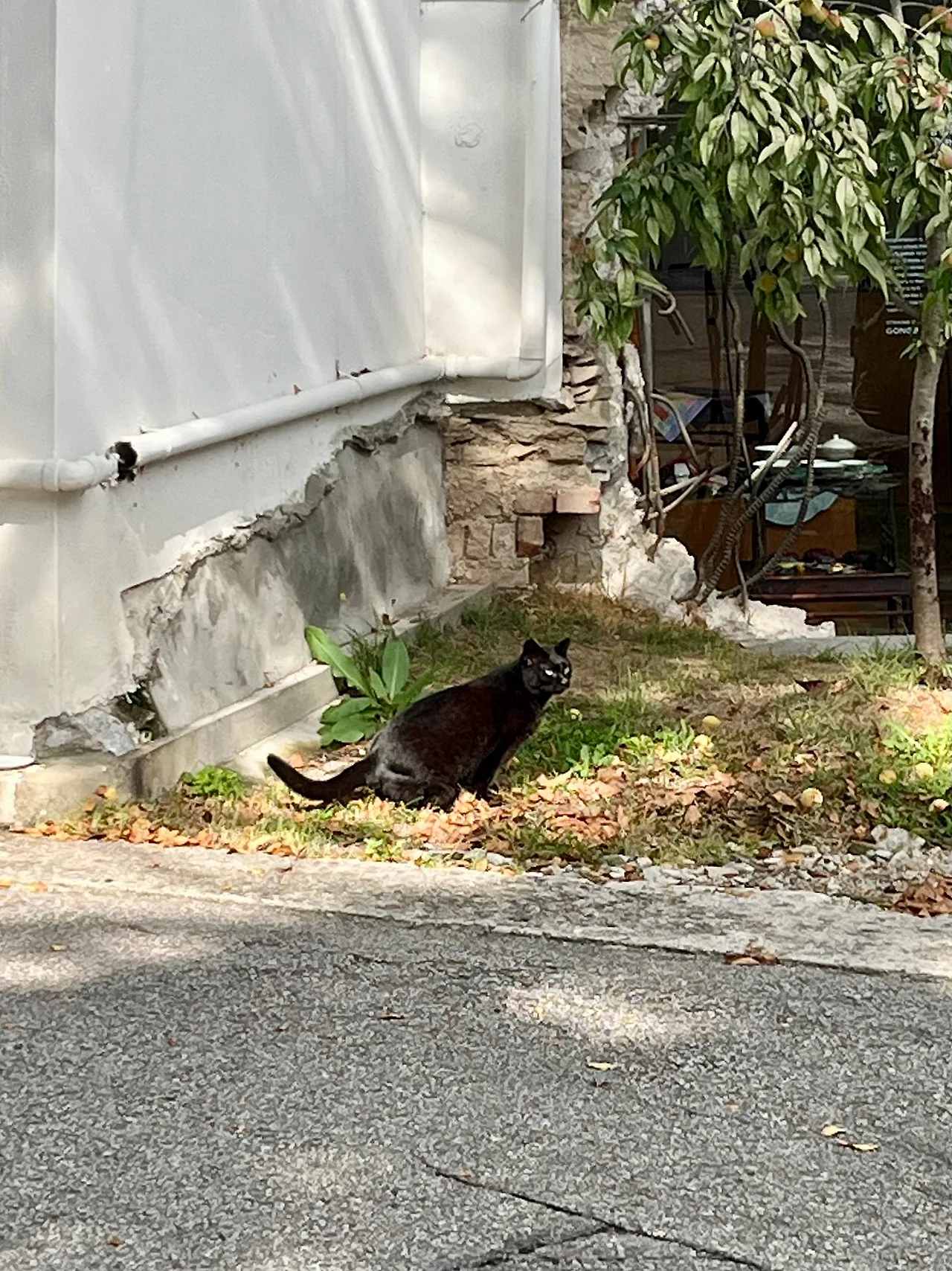 IMG%EF%BC%BF2323.jpg?type=w1600