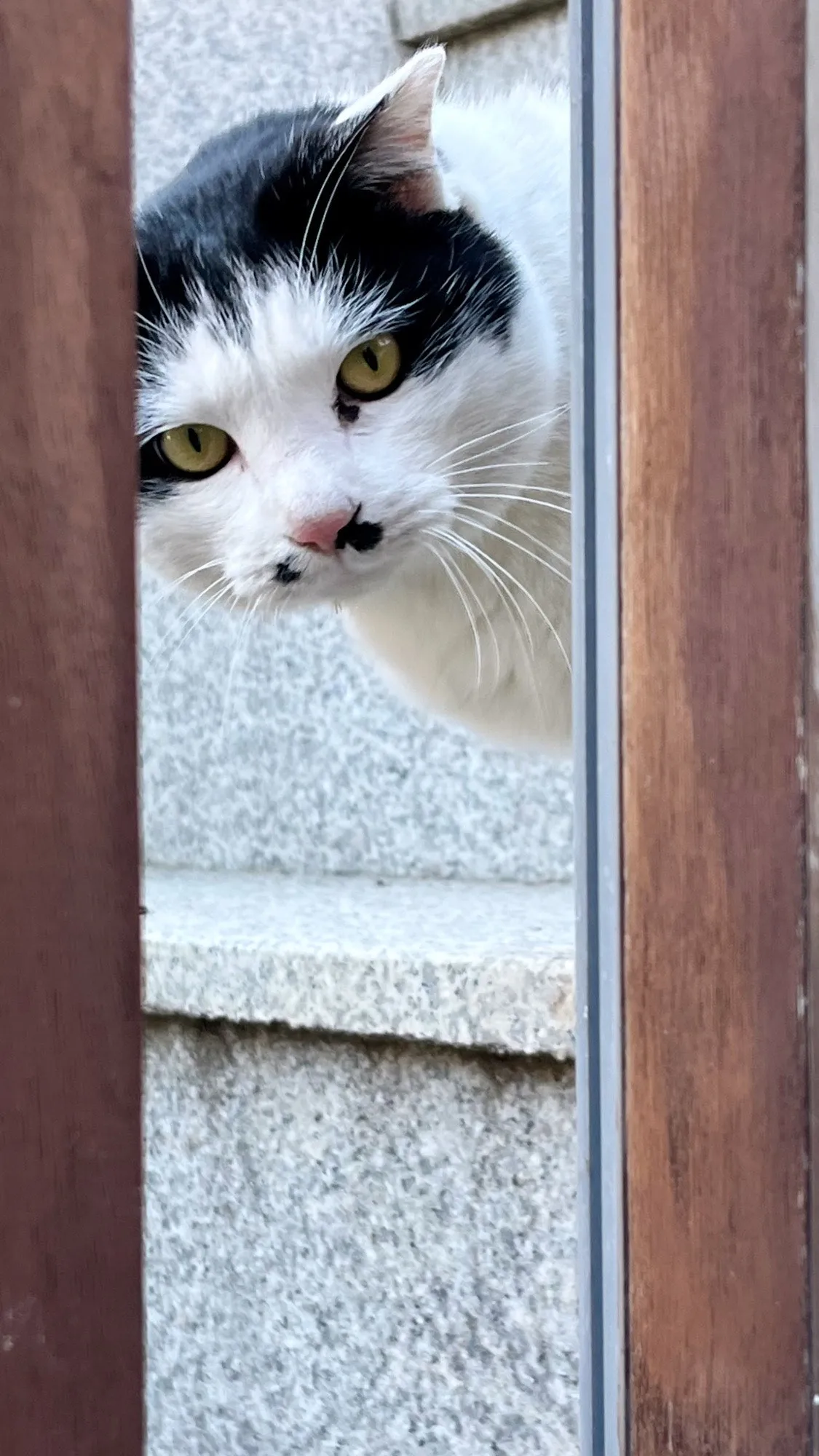 8BEFA932%EF%BC%8D231F%EF%BC%8D48C5%EF%BC%8DA868%EF%BC%8DDE3952658202.jpg?type=w1600