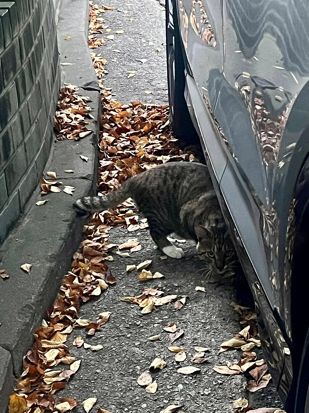 IMG%EF%BC%BF3466.jpg?type=w1600