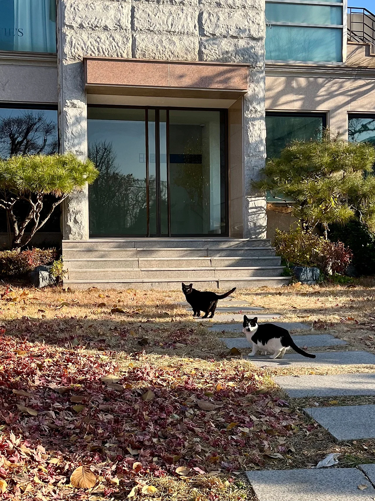 IMG%EF%BC%BF8553.jpg?type=w1600