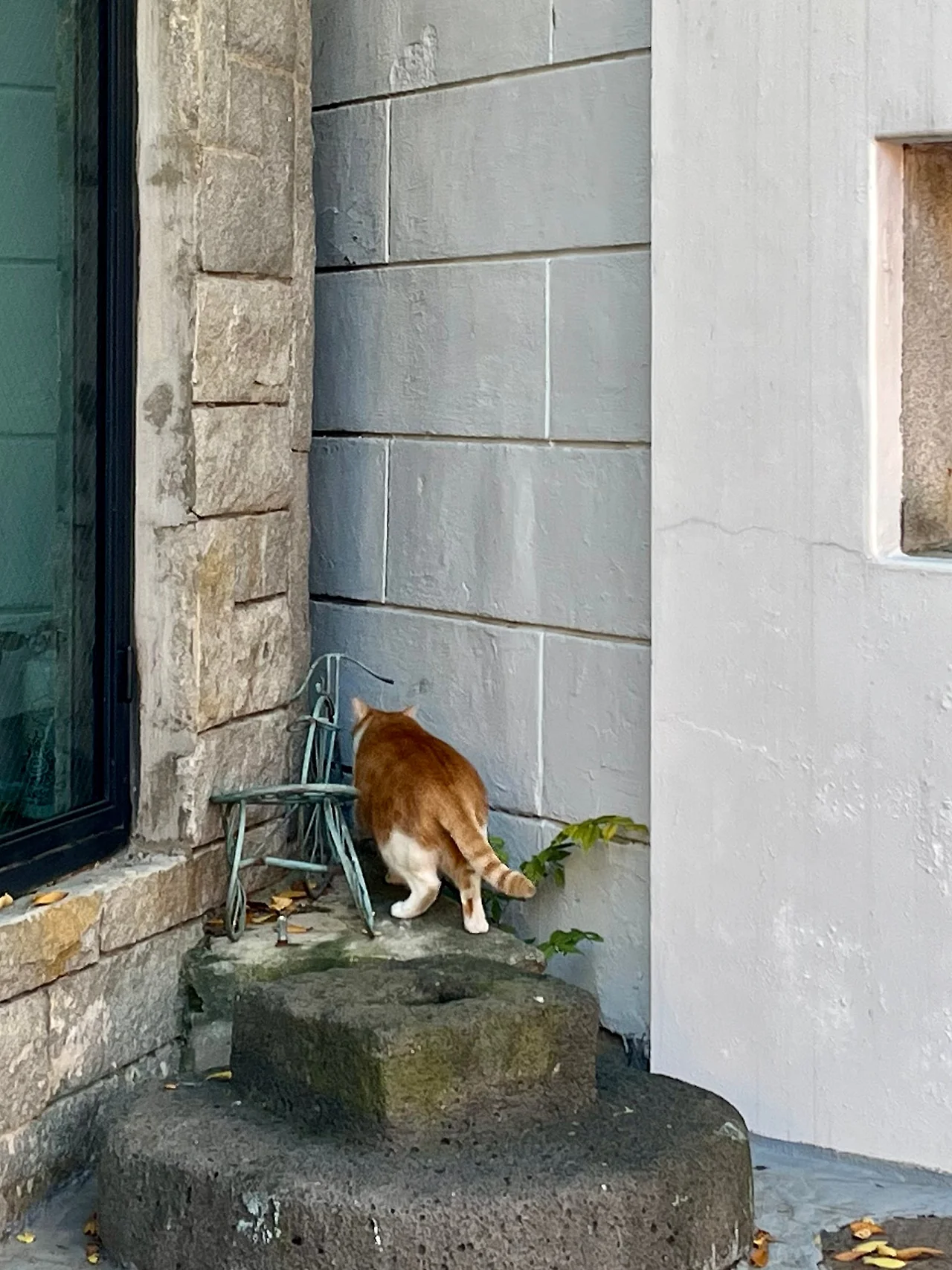 IMG%EF%BC%BF4466.jpg?type=w1600