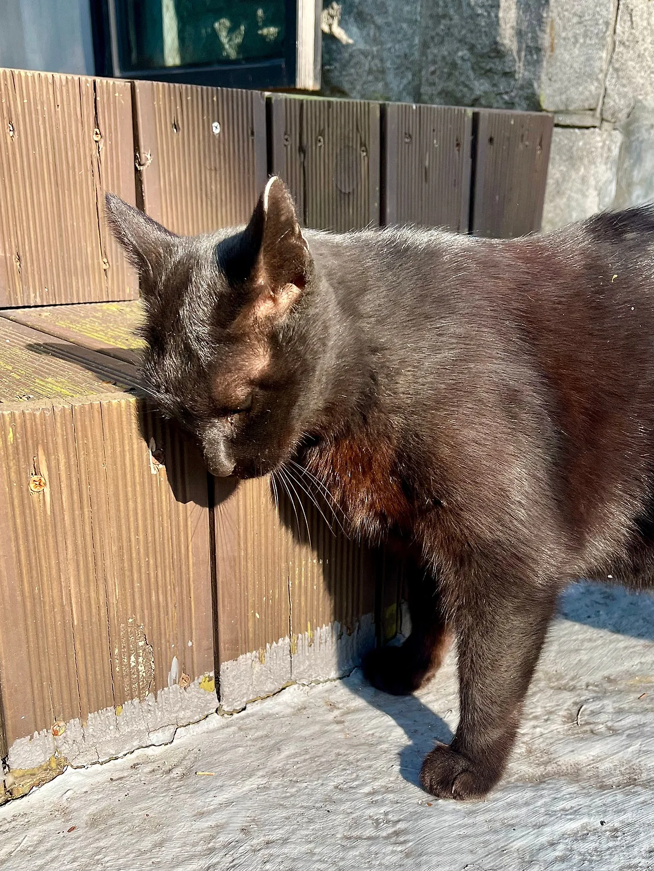 IMG%EF%BC%BF4211.jpg?type=w1600