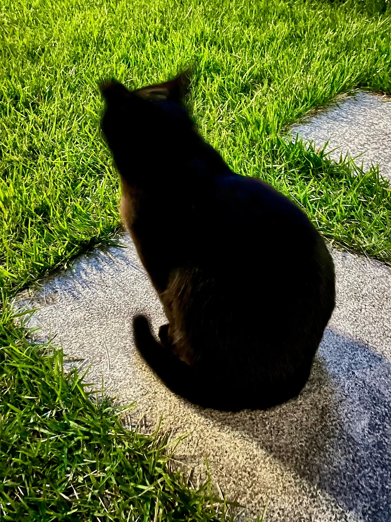 IMG%EF%BC%BF3181.jpg?type=w1600