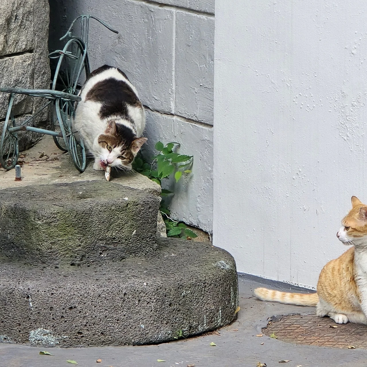 IMG_4790.JPG?type=w1600