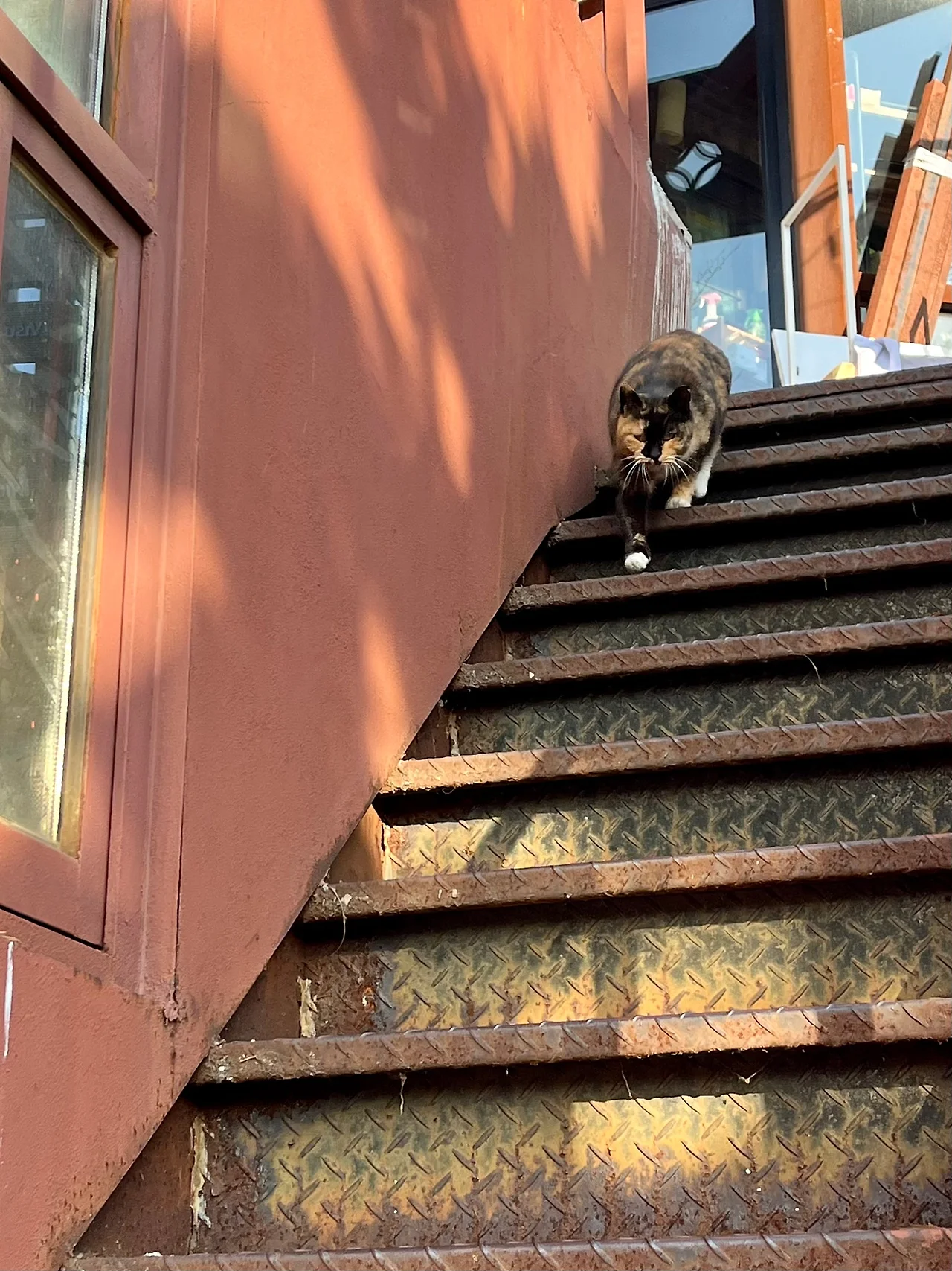 IMG%EF%BC%BF0925.jpg?type=w1600