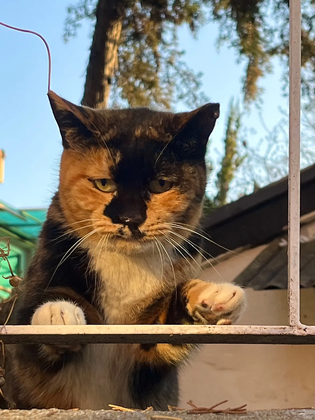 IMG%EF%BC%BF9121.jpg?type=w1600