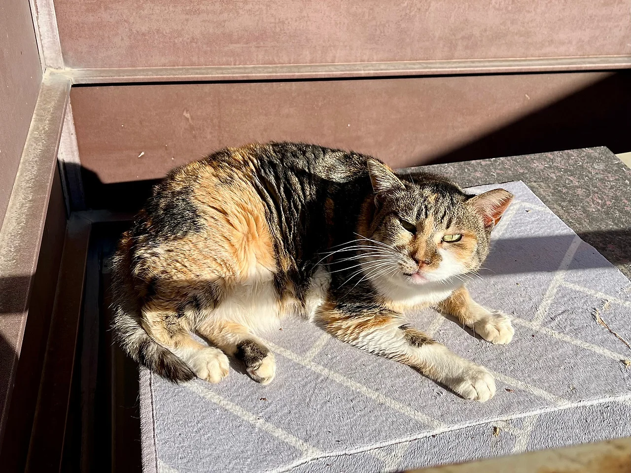 IMG%EF%BC%BF1032.jpg?type=w1600