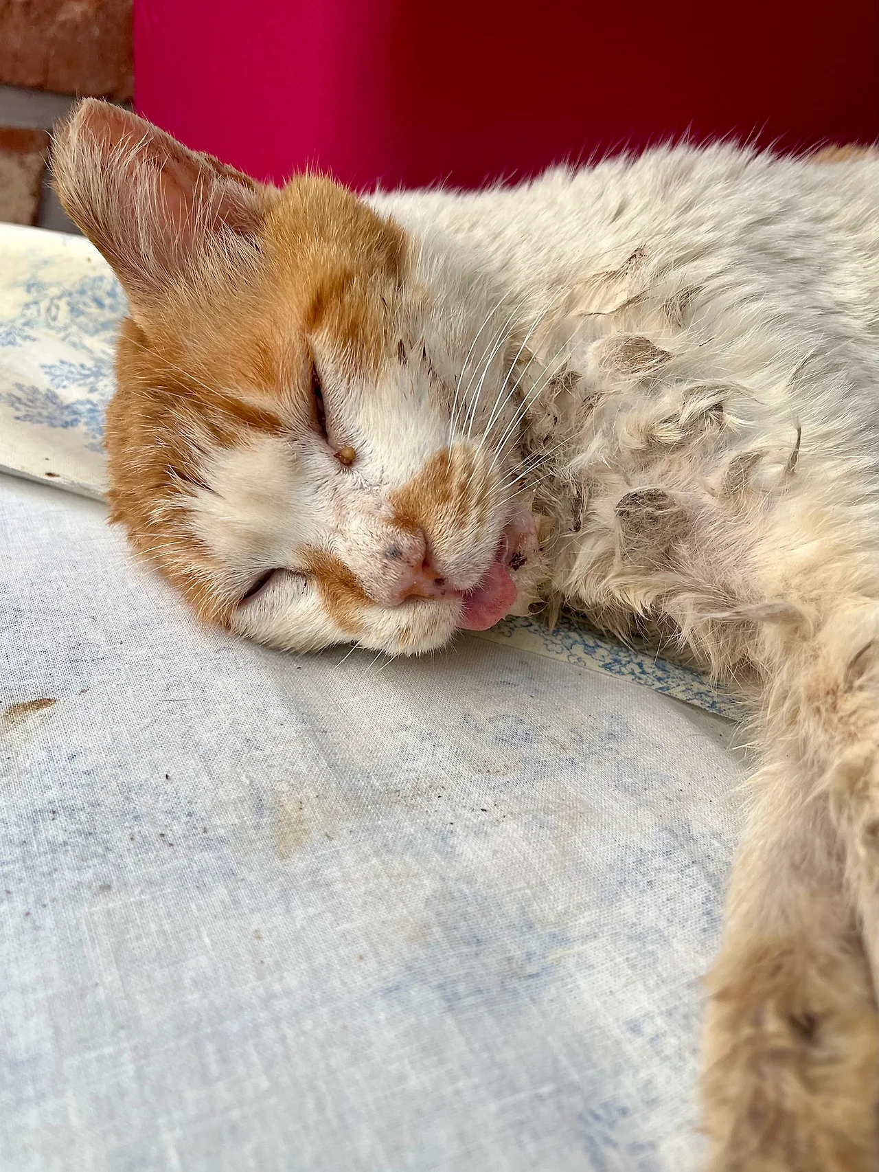 IMG%EF%BC%BF4513.jpg?type=w1600