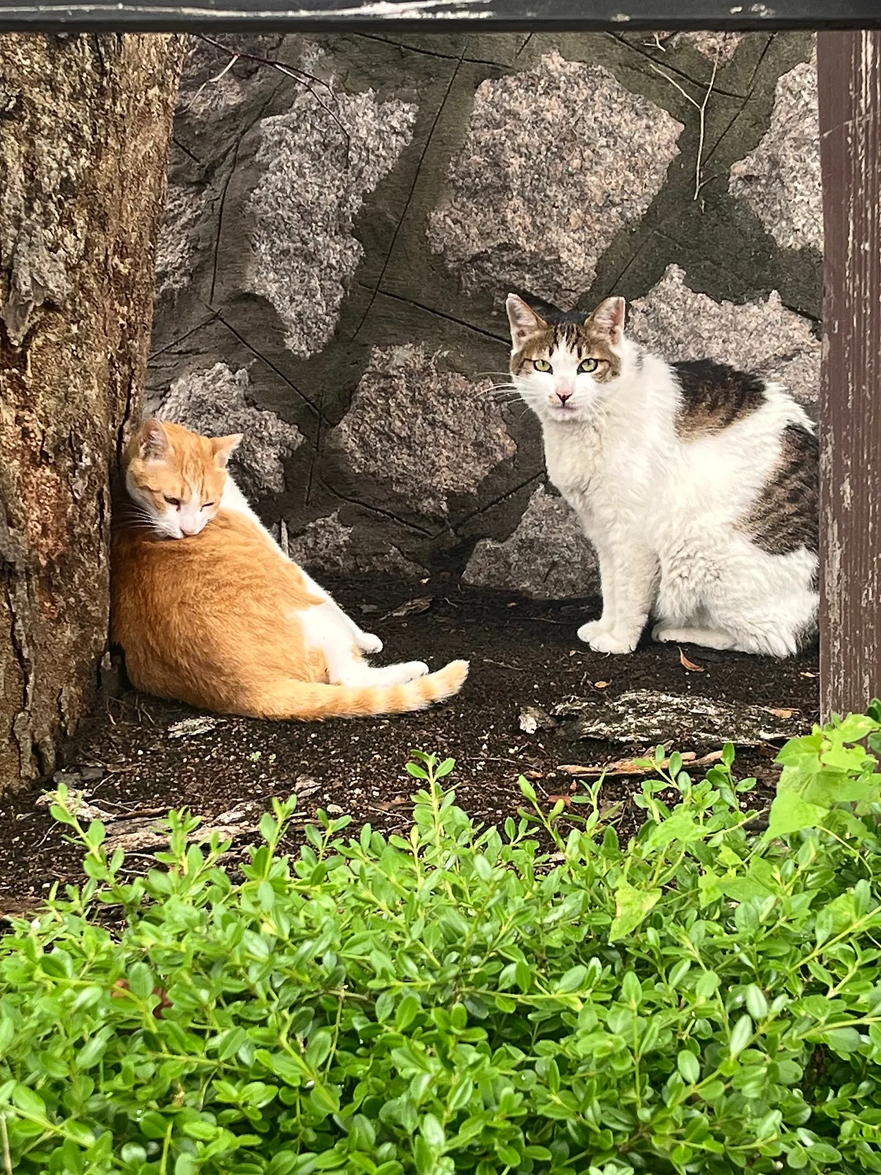 IMG%EF%BC%BF8238.jpg?type=w1600