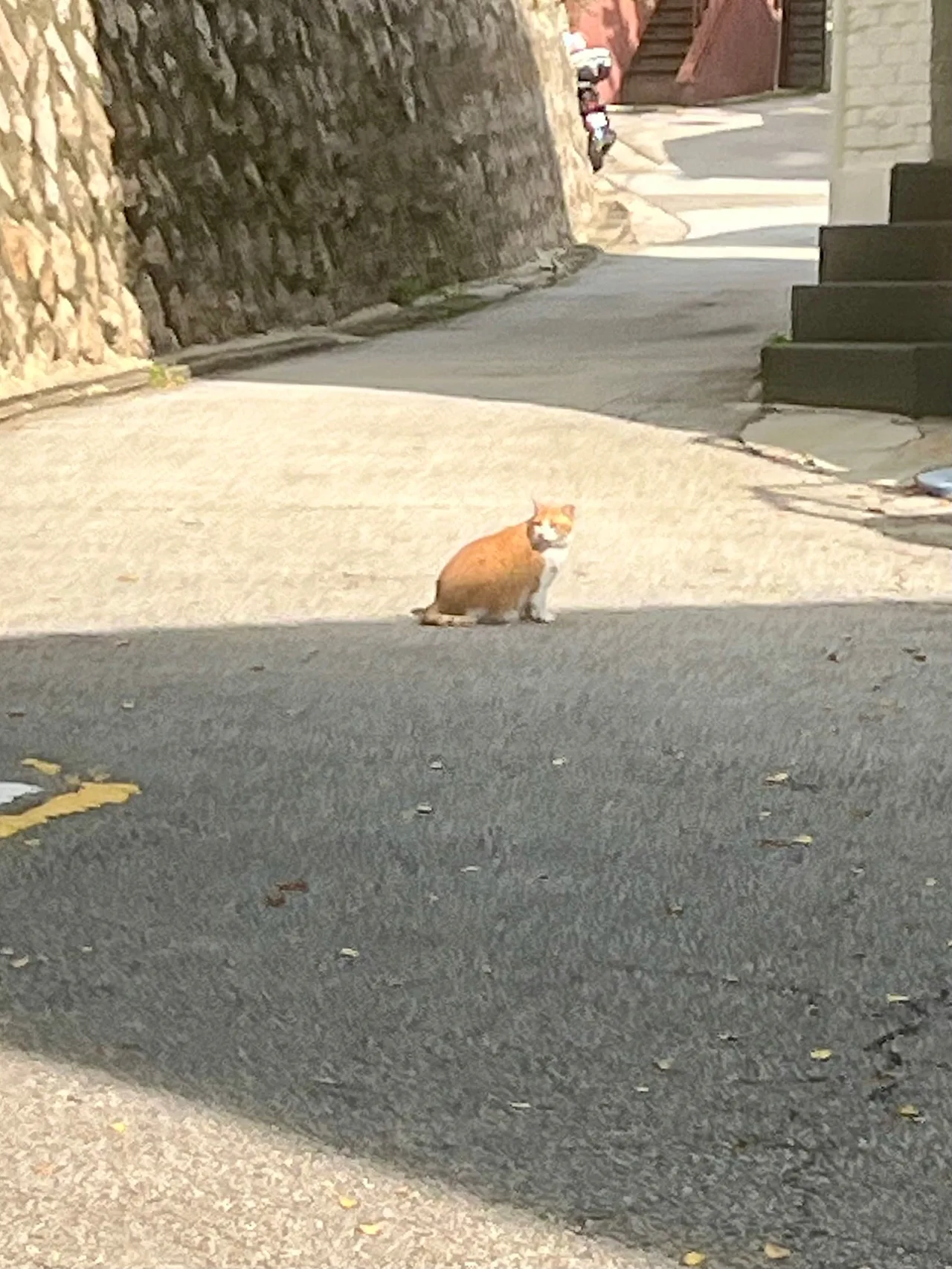 IMG%EF%BC%BF2225.jpg?type=w1600