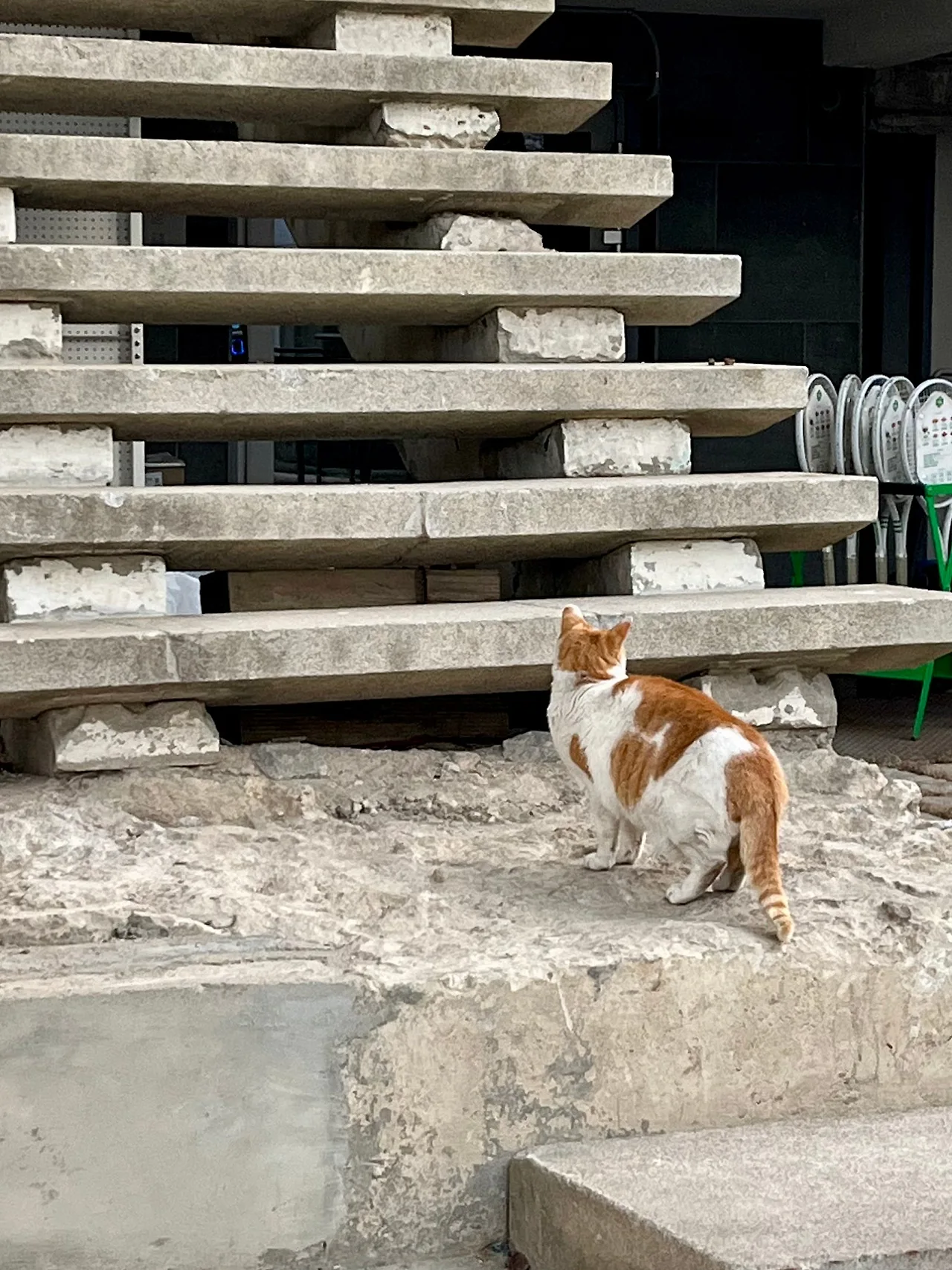 IMG%EF%BC%BF0701.jpg?type=w1600