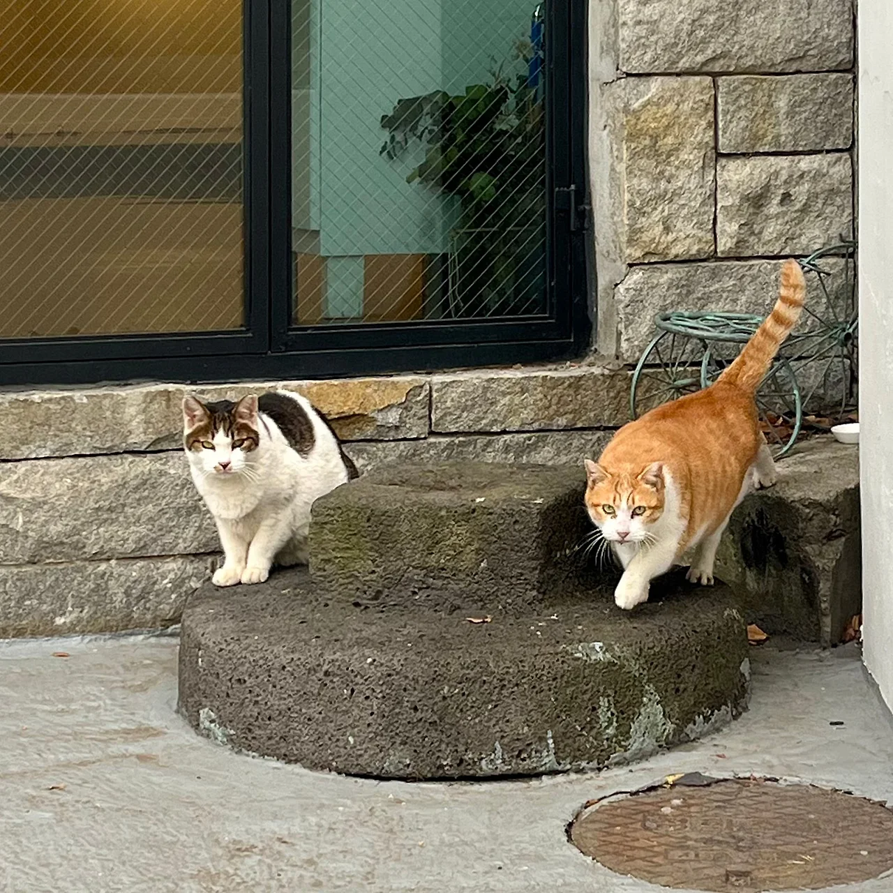 IMG%EF%BC%BF9706.jpg?type=w1600