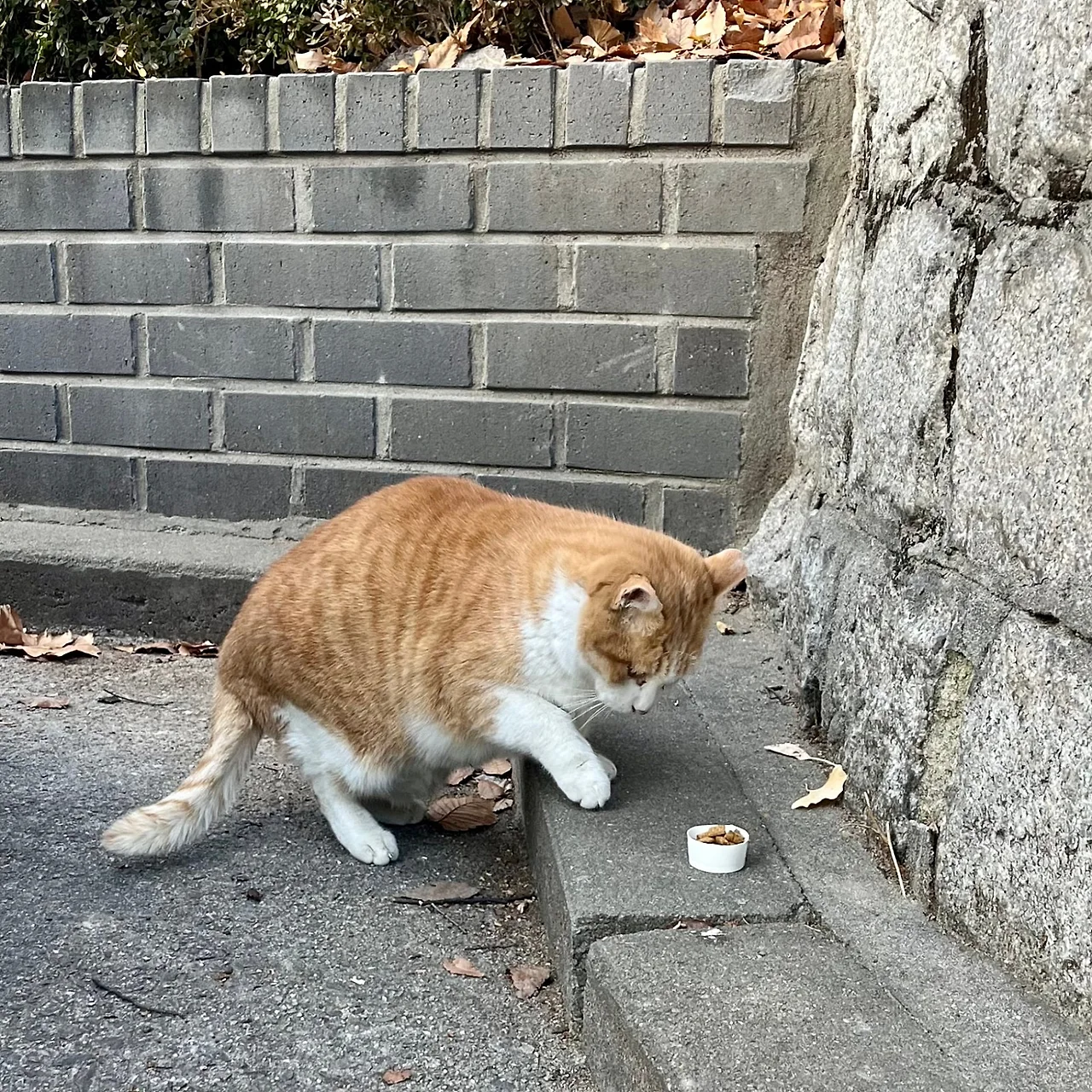 SE-5EF85AFF-79DD-4BF5-B11A-7BB7225019B4.jpg?type=w1600