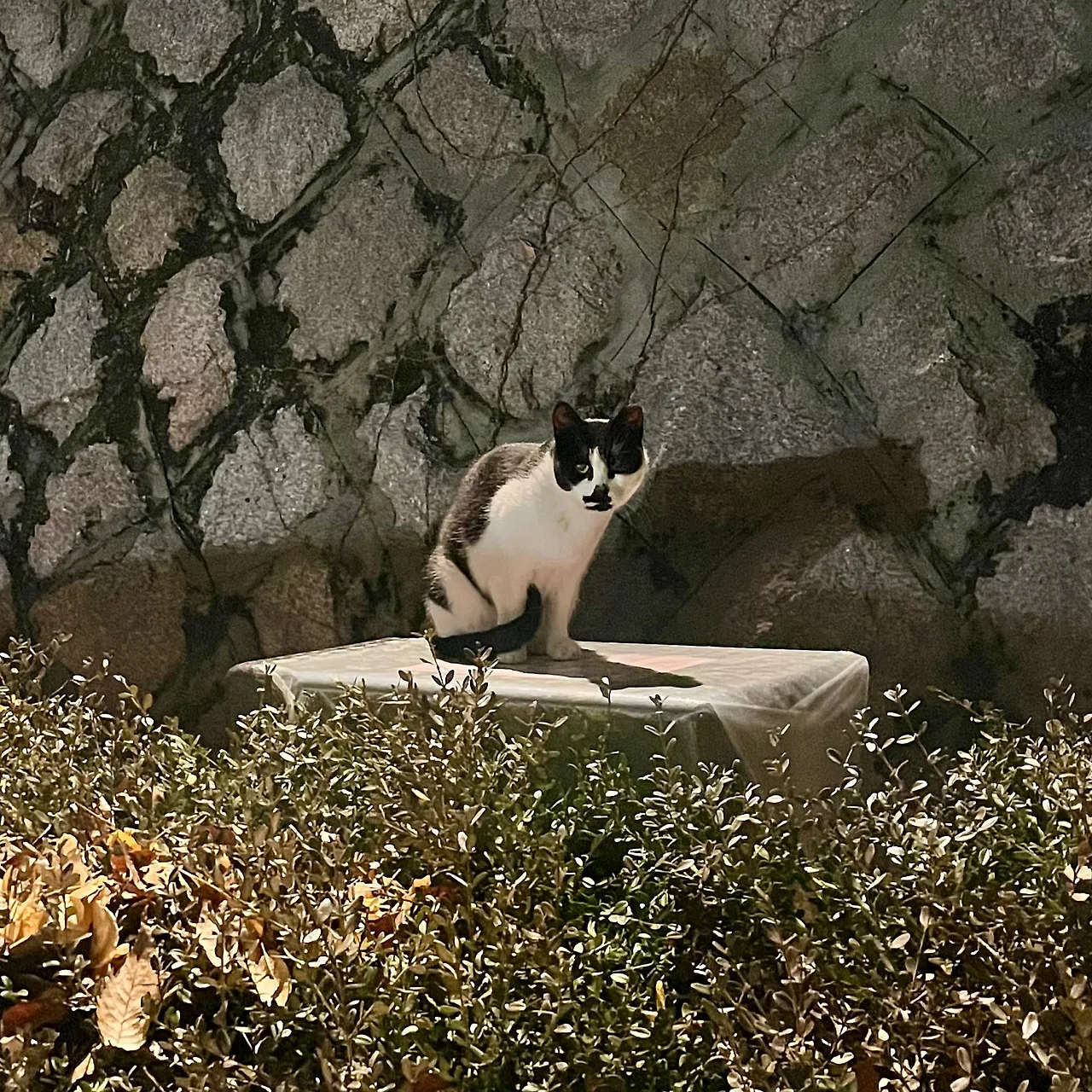 IMG%EF%BC%BF9769.jpg?type=w1600