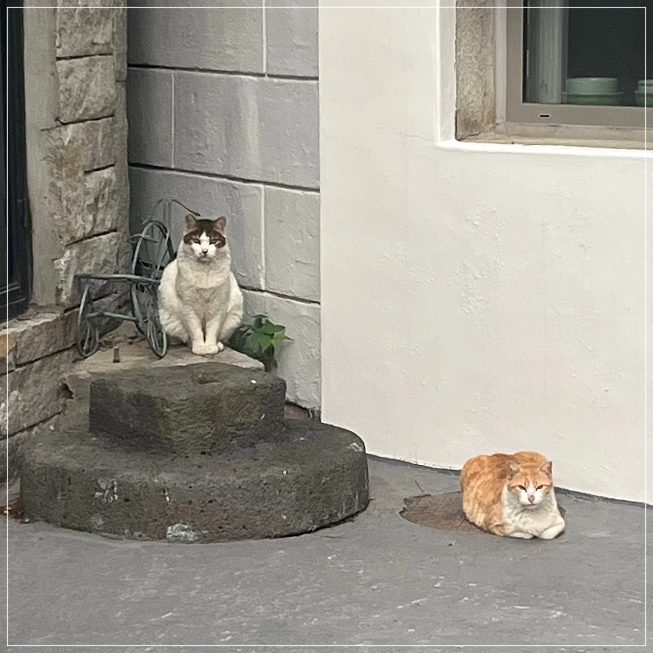 IMG_4253.jpg?type=w1600