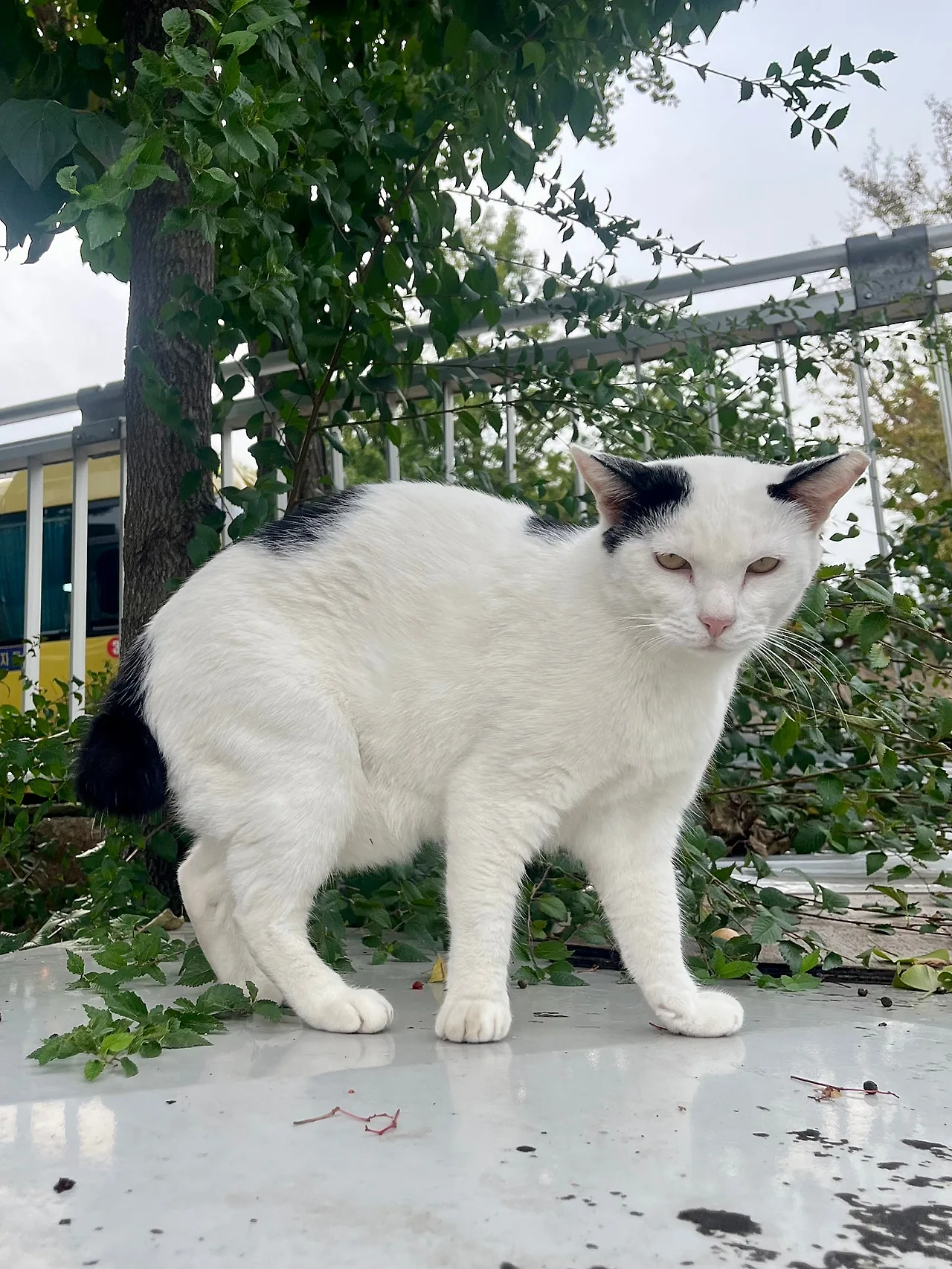 IMG%EF%BC%BF2784.jpg?type=w1600