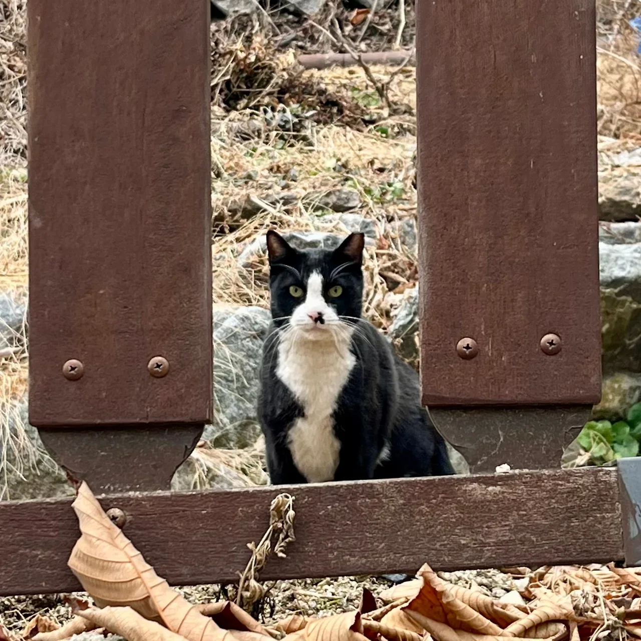 SE-7a64fc1d-700b-4b47-964c-b32820762e94.jpg?type=w1600